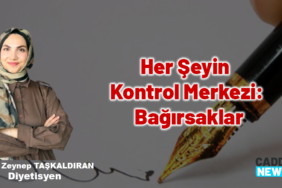 Feyza Zeynep Taşkaldıran