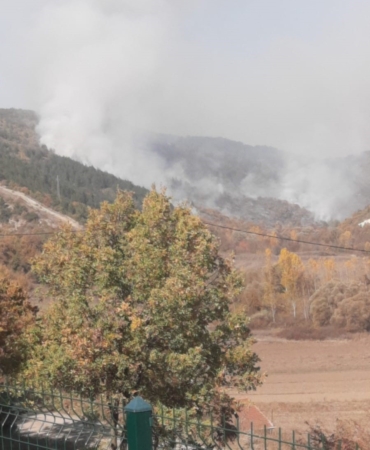 Bilecik’te orman yangını