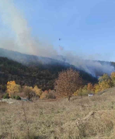 Bilecik’te orman yangınını söndürme çalışması sürüyor