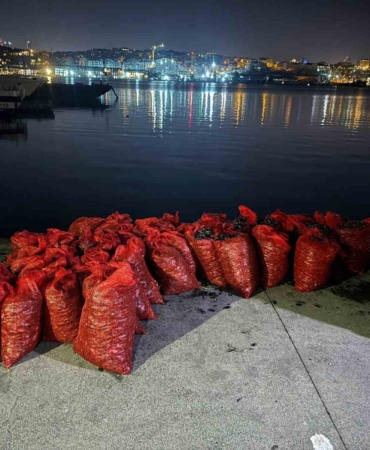 Üsküdar’da 2 ton kaçak midye ele geçirildi