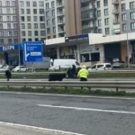 Büyükçekmece’de E-5’e giren dana trafiği kilitledi