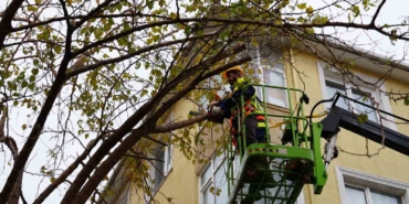Maltepe’de ağaçların budanmasına başlandı