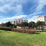 Doktora programlarında yeni dönem: Akreditasyon şartı getirildi