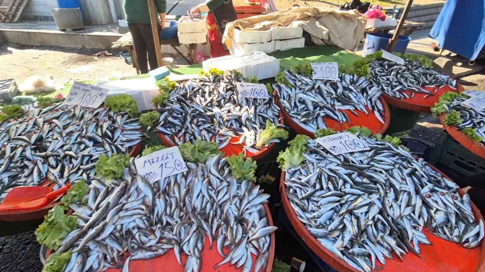 Tekirdağ’da hamsi ve istavritin kilosu 100 liradan satıldı
