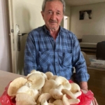 Devrilen traktörün altında kalan adam, hayatını kaybetti