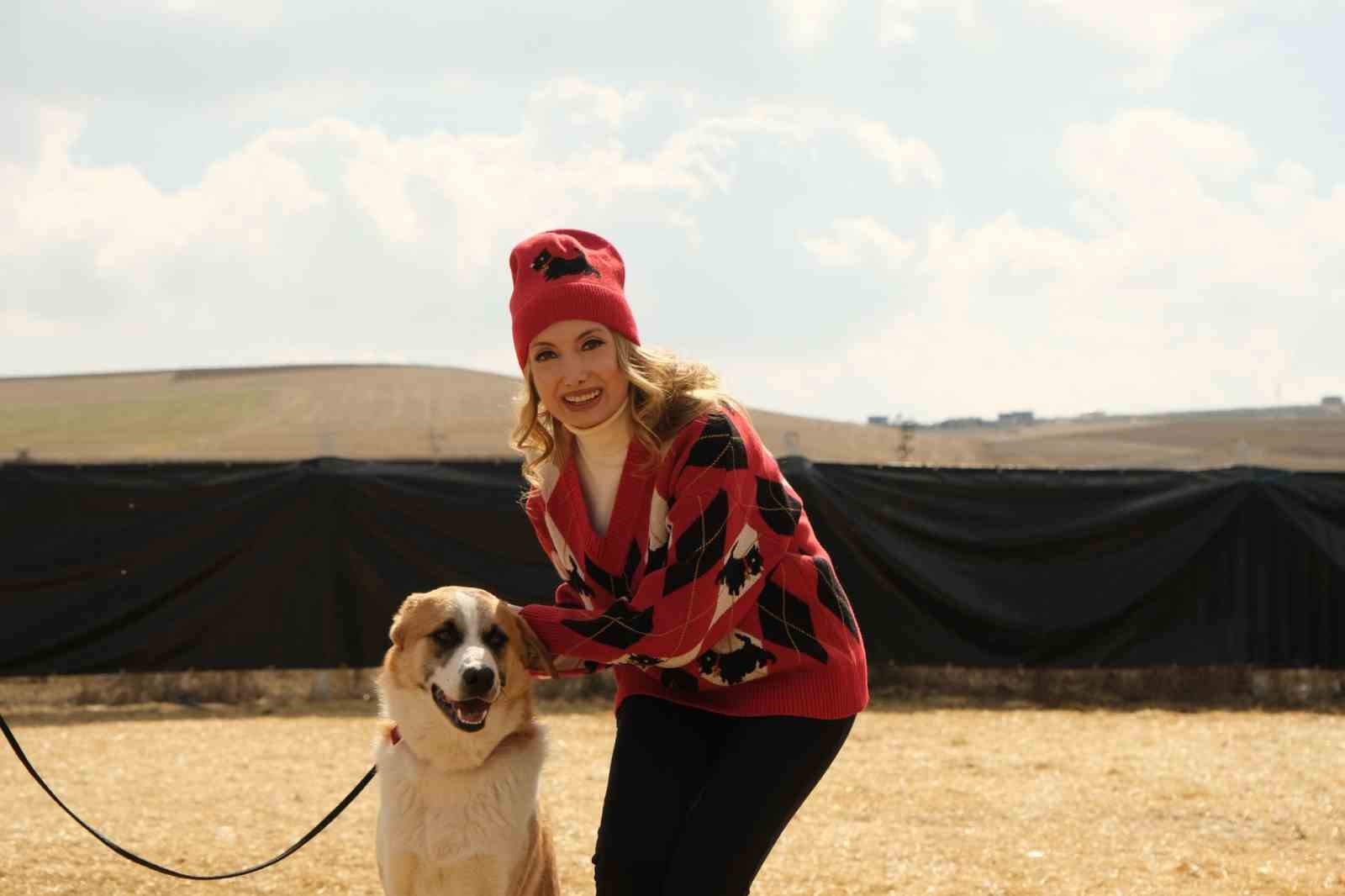 Sokak köpekleri kanser hastalarının umudunu arttırıyor