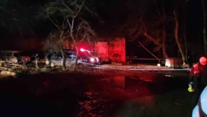 Kağıthane’de 2 gün önce kaybolan kadın Belgrad Ormanı’nda aranıyor