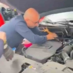 Araç motoruna bu kez kedi değil, horoz girdi