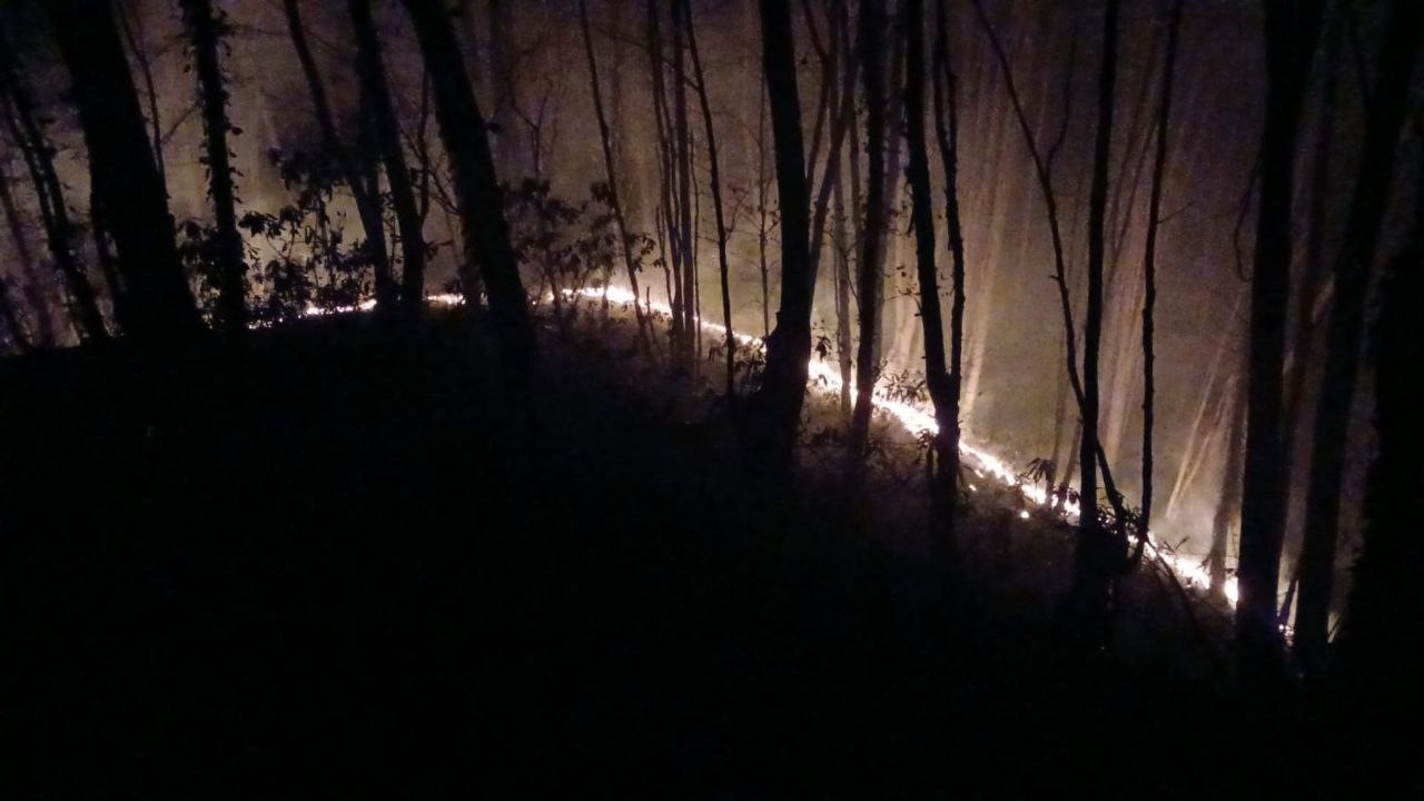 Ormanlık alan alev alev yandı: 6 dönüm arazi zarar gördü