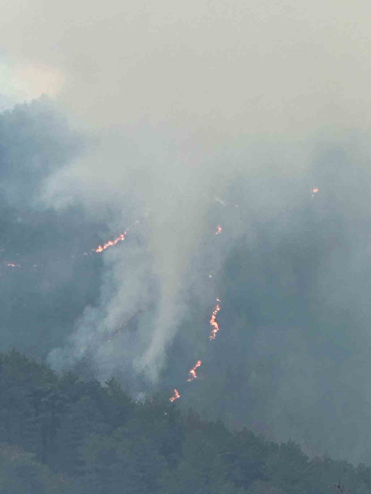 Balıkesir’de orman yangınına müdahale sürüyor