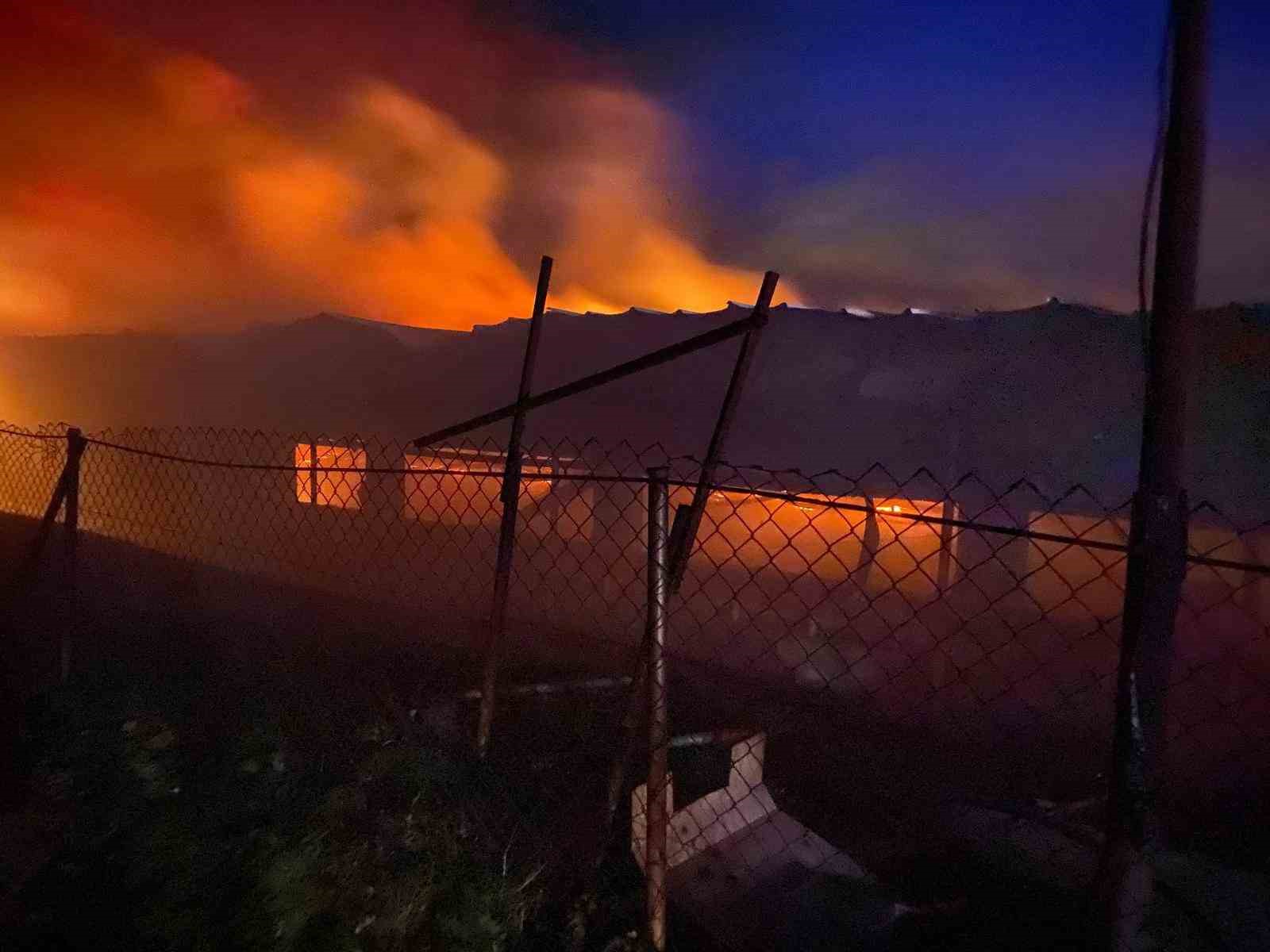Bilecik’te tavuk çiftliğinde korkutan yangın