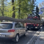 Sarıyer’de şiddetli rüzgarda ağaç otomobilin üzerine devrildi