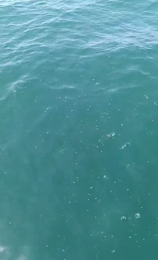 Depreme denizde yakalandılar: "Marmara açıklarında bir gürültü koptu, tekne sallandı"