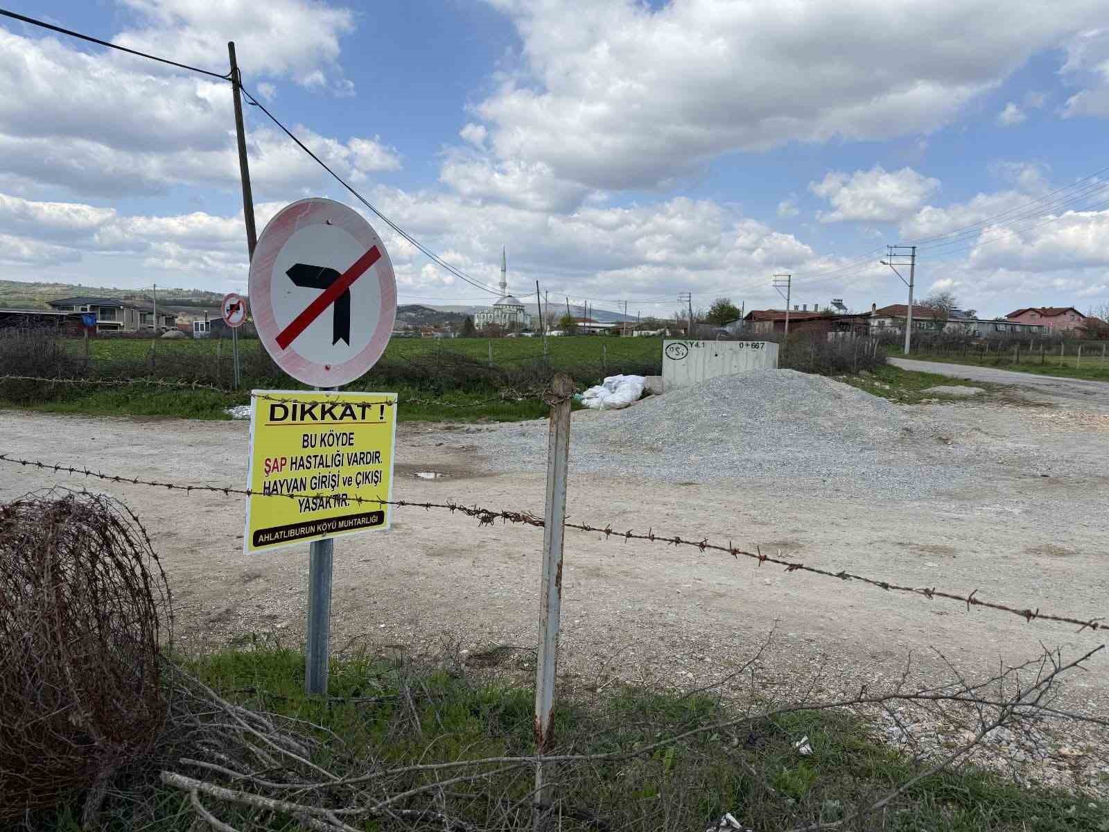 Çanakkale’de bir köye daha şap karantinası