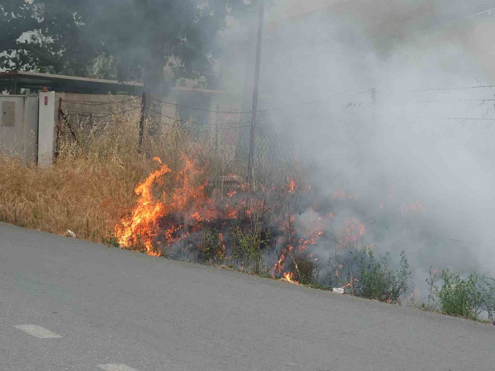 Burhaniye’de ot yangını korkuttu
