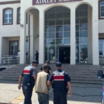 Çanakkale’de arazide 77 kök kenevir ele geçirildi: 1 tutuklama