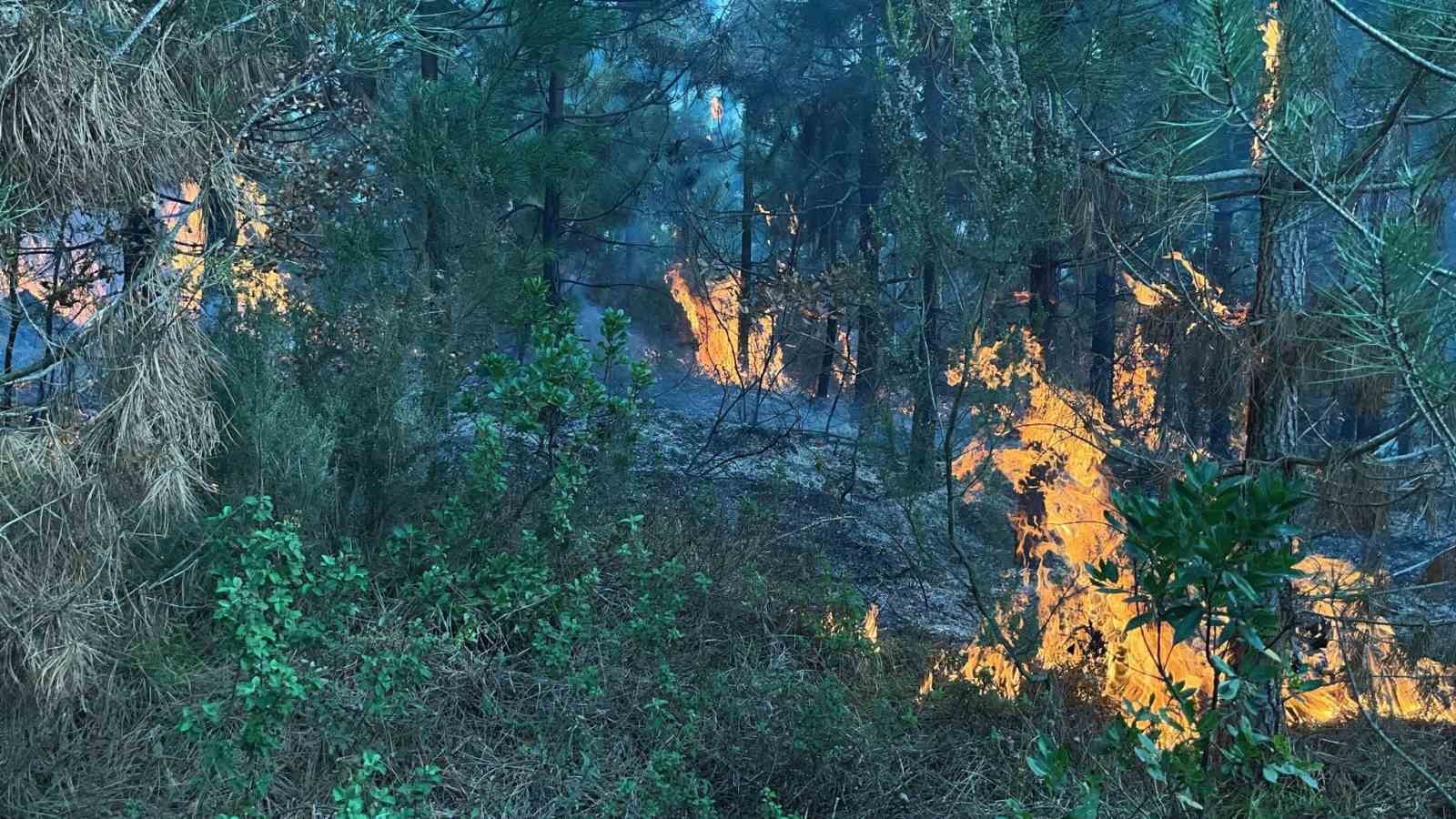 Yangın riskine karşı kritik uyarı: Yasal işlem uygulanacak