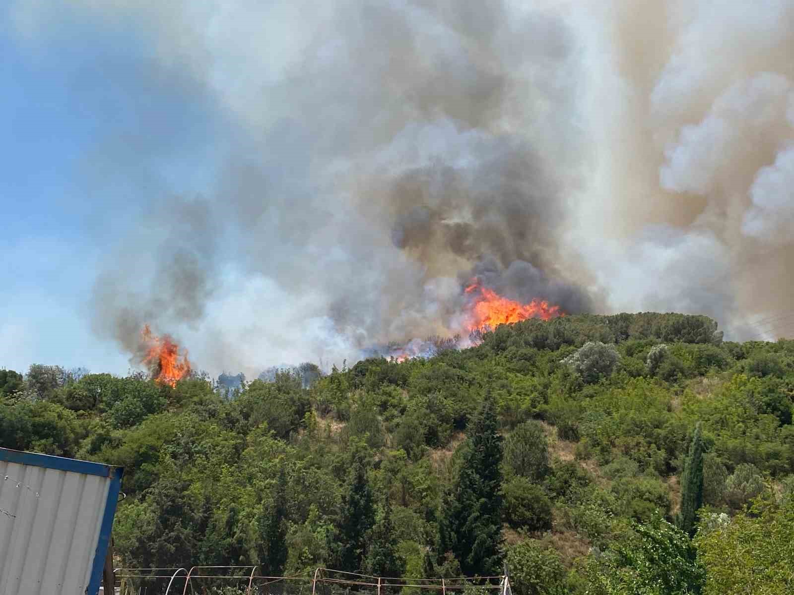 Kocaeli’de ağaçlık alanda çıkan yangına müdahale ediliyor