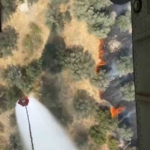 Ayvalık’ta zeytinlik alanda yangın