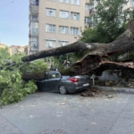 Beşiktaş’ta devrilen ağaç 3 araca hasar verdi