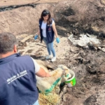 Bilecik’te acı bilanço ortaya çıktı