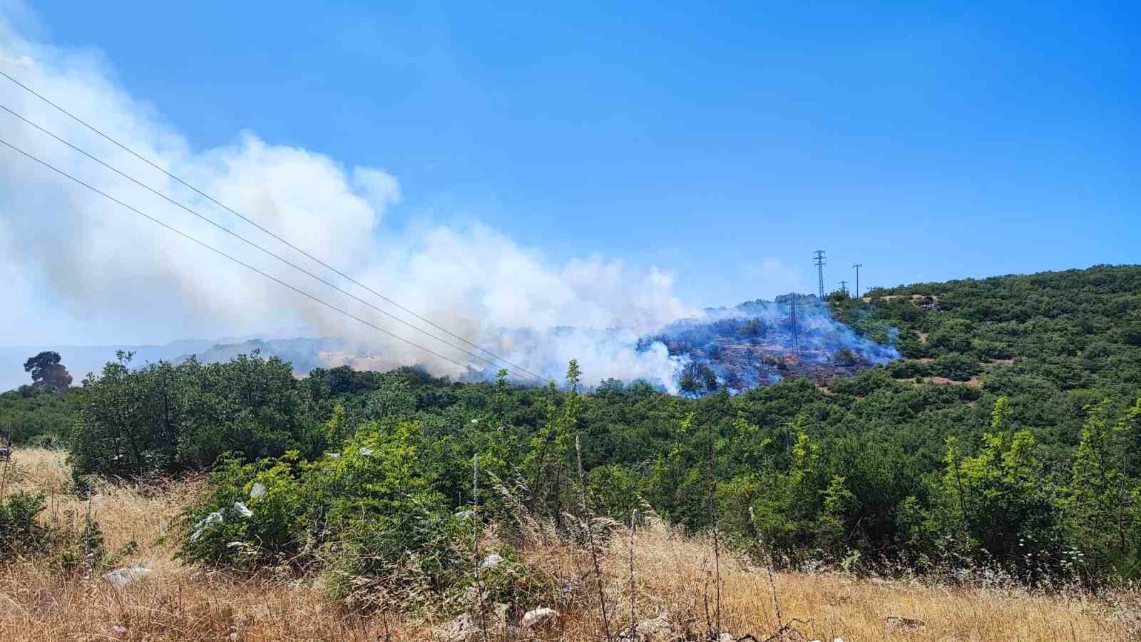 İnegöl’deki orman yangını kontrol altına alındı