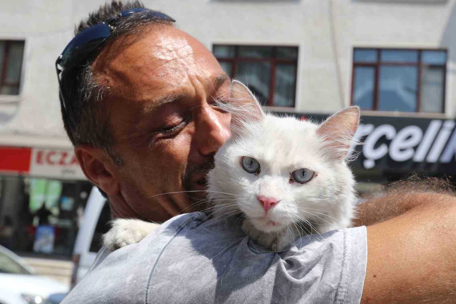 Kayıp kedisine günler sonra kavuştu, bu kez mutluluktan ağladı