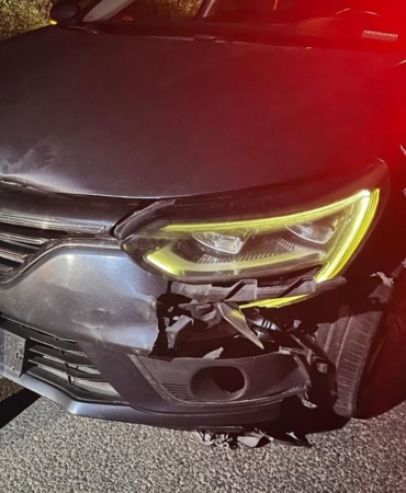 İnegöl’de otomobilin çarptığı ayı telef oldu