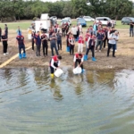 İstanbul’daki göletlere 3,7 milyon yerli üretim sazan yavrusu bırakıldı