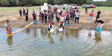 İstanbul’daki göletlere 3,7 milyon yerli üretim sazan yavrusu bırakıldı