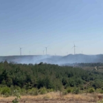 Çanakkale’deki orman yangını kontrol altında