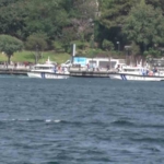 İstanbul Boğazı’nda kaybolan Rus yüzücüyü arama çalışmaları devam ediyor