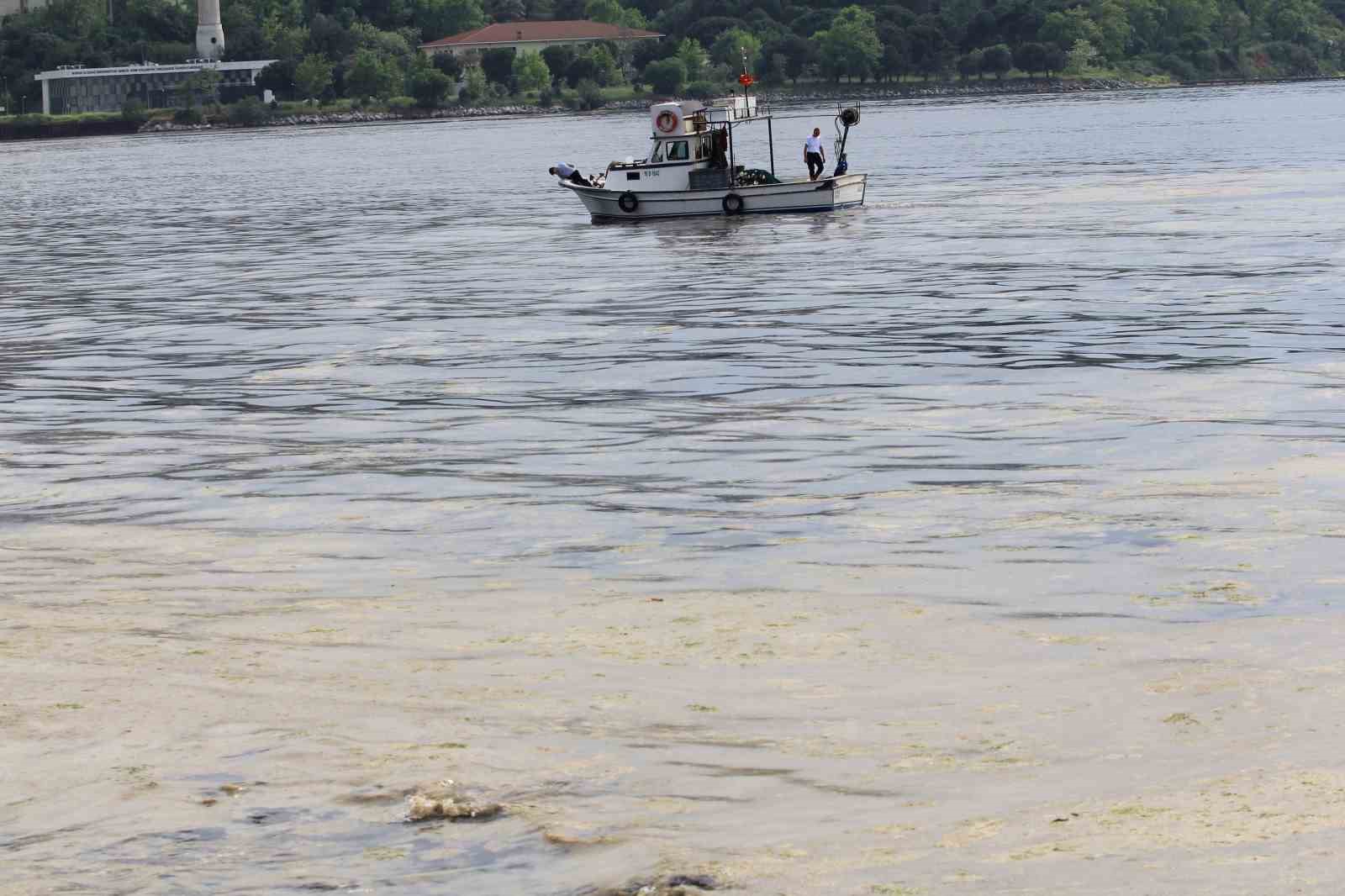 Marmara’nın küçük balıkçılarına "müsilaj" desteği geliyor