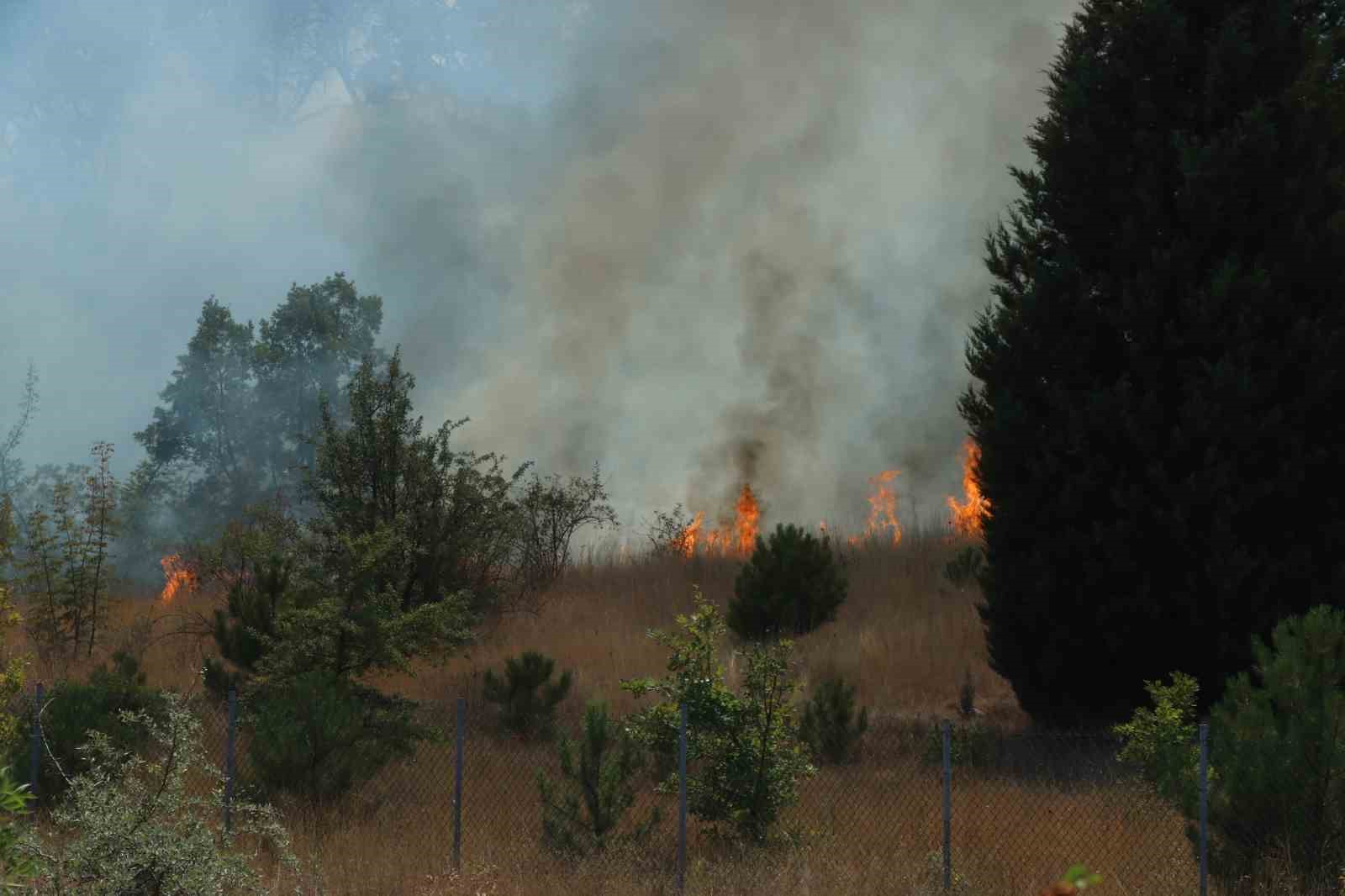 Kırklareli’nde anızlık alanda çıkan yangın ağaçlık alana sıçradı: Avrupa otoyolu ulaşıma kapandı