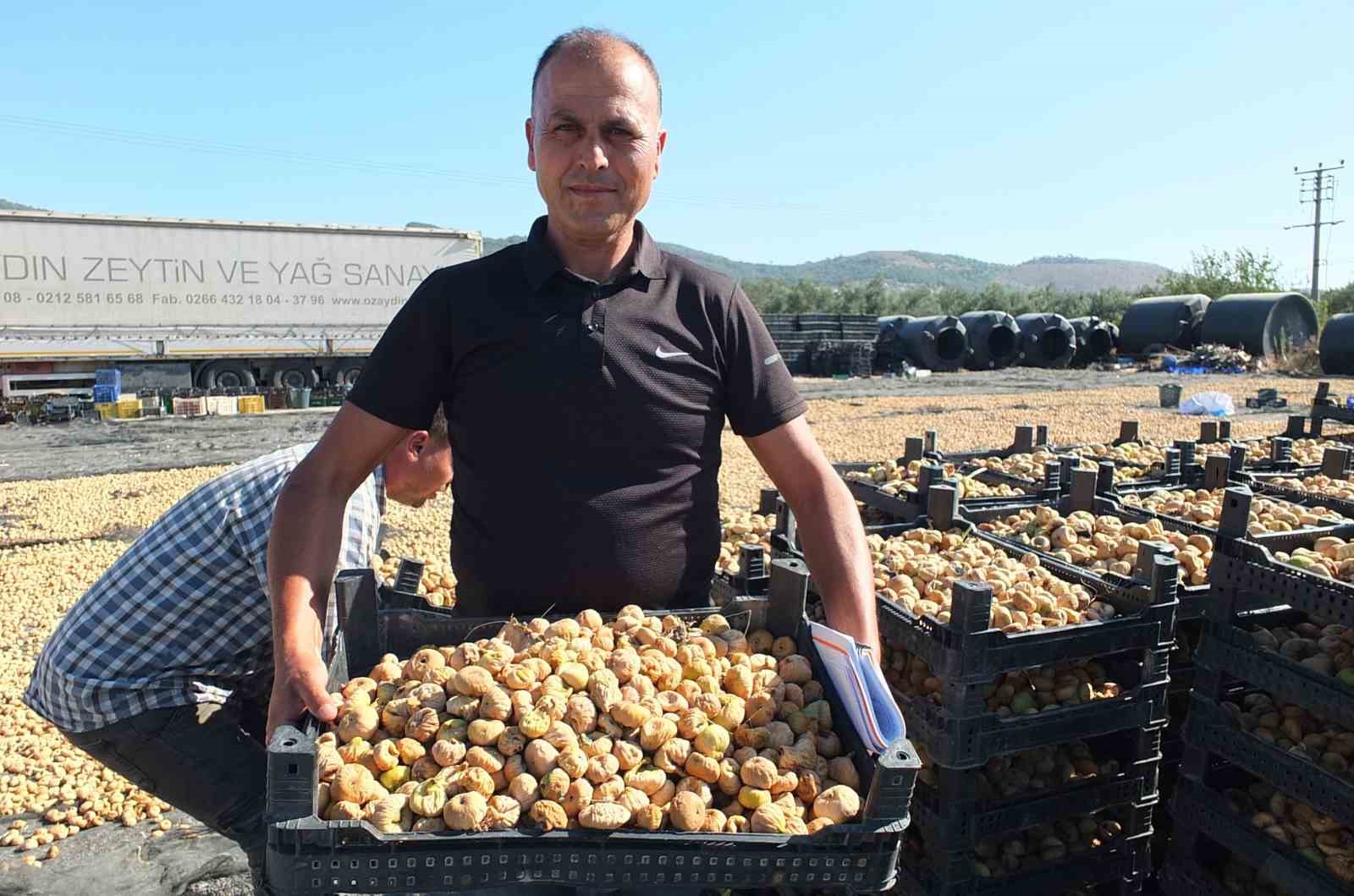 Balıkesir’ de Havran ilçesi incir de Aydın’a rakip oldu