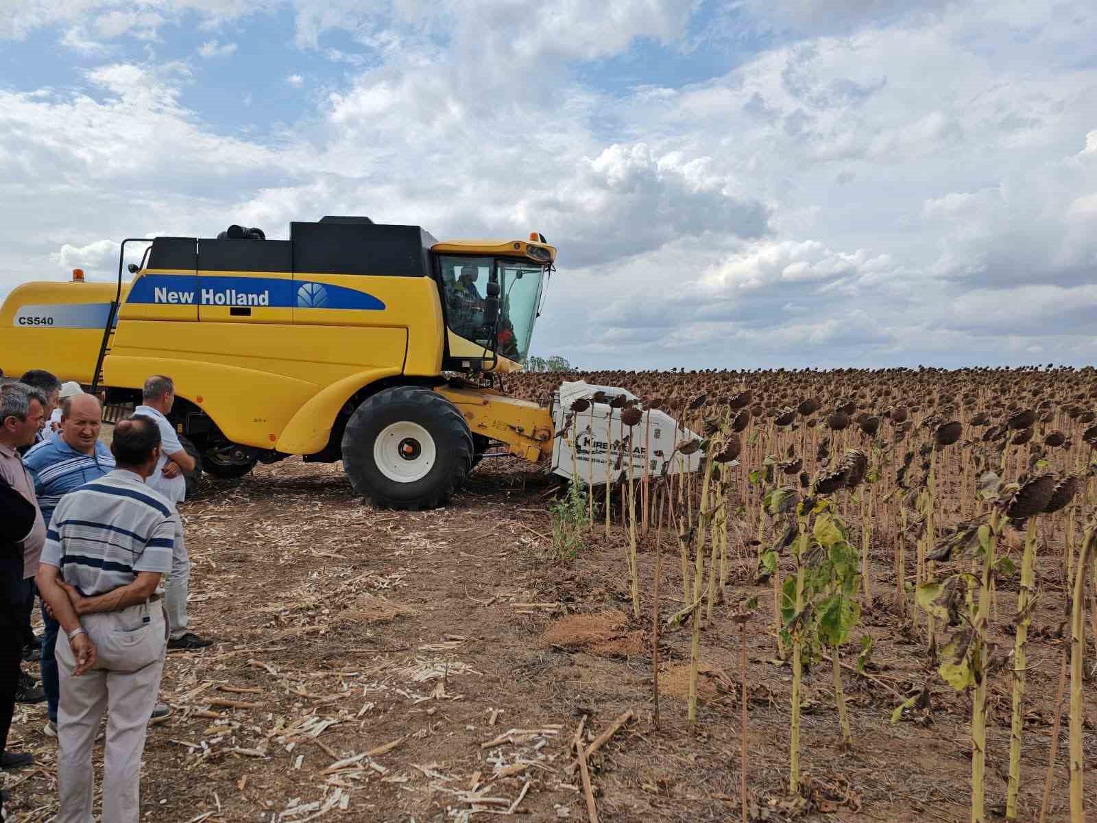 Tekirdağ’da anıza ekim ayçiçeği projesinde tarla günü düzenlendi