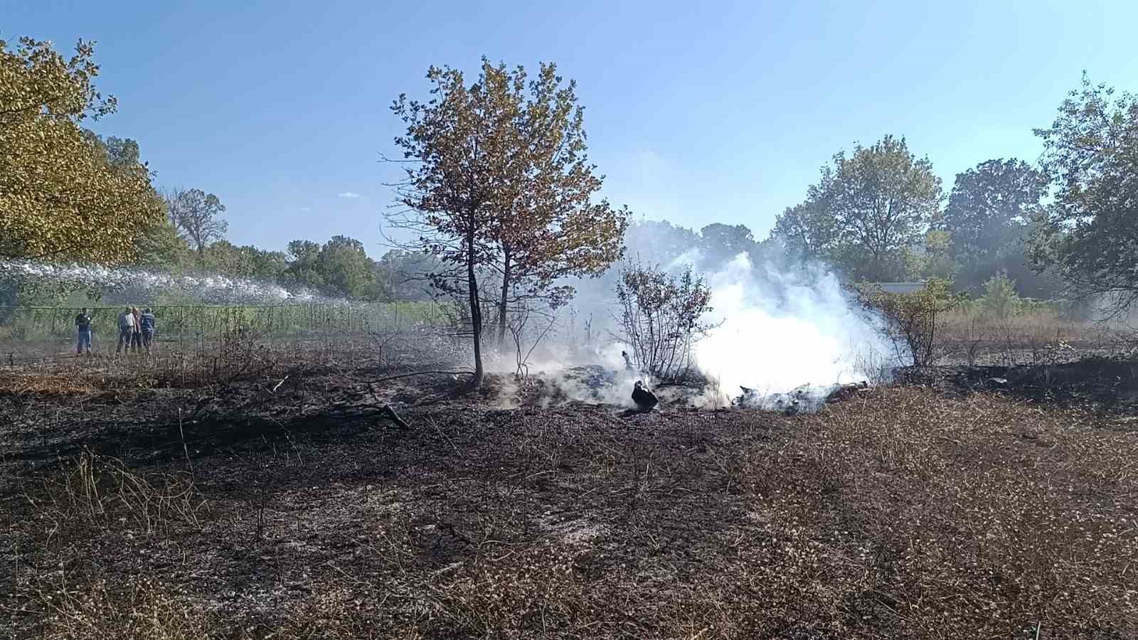Bilecik Pazaryeri’nde arazi yangını çıktı
