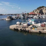 Şile’de bu yıl palamut avı beklenenin çok altında kaldı