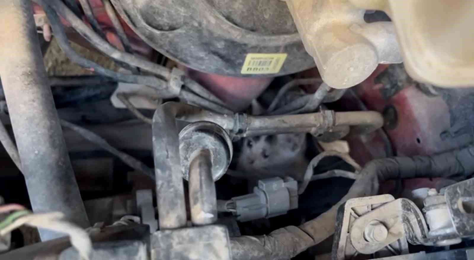 Motorda mahsur kalan yavru kedileri itfaiye kurtardı