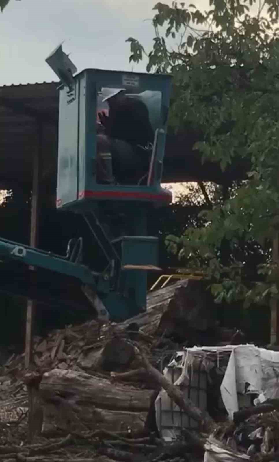 Bursa’da vinç üstünde "arı alarmı"