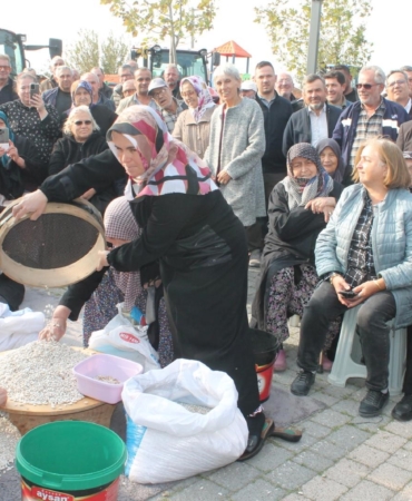 Coğrafi işaretli Kazak fasulyesinde ilk hasat festivali yapıldı