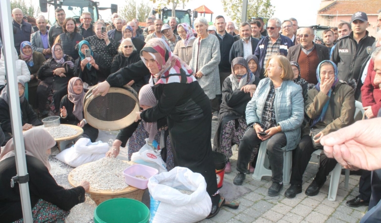 Coğrafi işaretli Kazak fasulyesinde ilk hasat festivali yapıldı