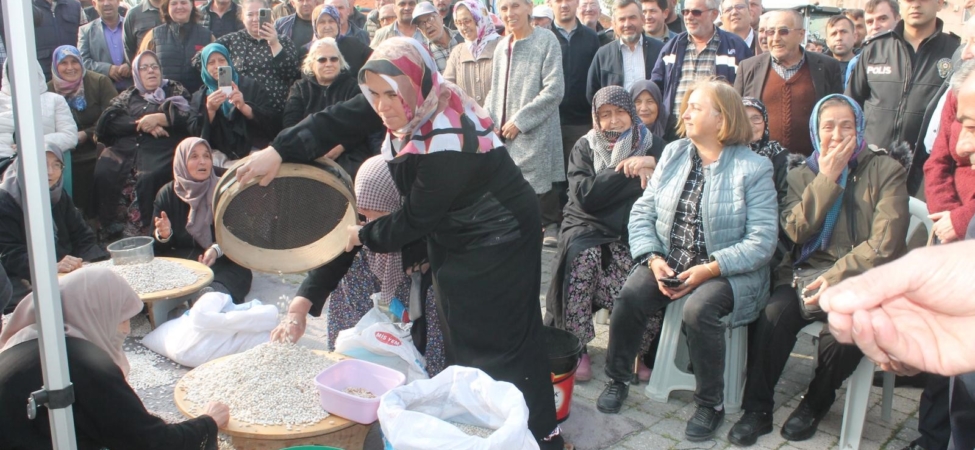 Coğrafi işaretli Kazak fasulyesinde ilk hasat festivali yapıldı
