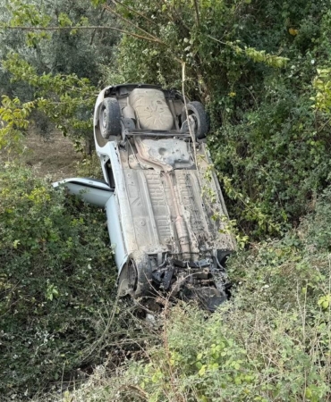 Sollama yaparken zeytinliğe uçtu