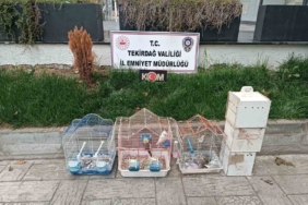 Tekirdağ’da yasa dışı hayvan üretimine ağır ceza