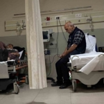 Ormandaki mantarları yiyen 7 kişi hastanelik oldu