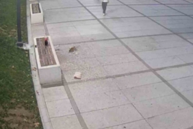 Çekirdek keyfi pahalıya patladı