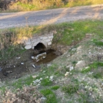 Çanakkale’de boş arazide bebek cesedi bulundu