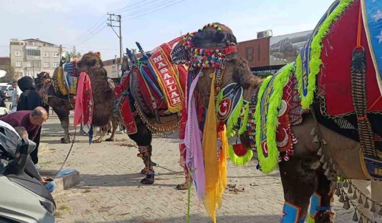 Çan’da havut giydirme hayrı düzenlendi