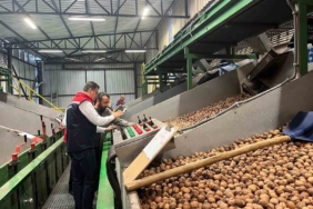 Tekirdağ’da ceviz ekim alanları genişliyor